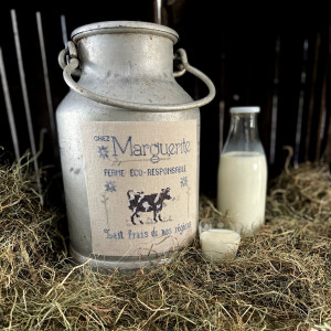 Chez Marguerite (Fiche)